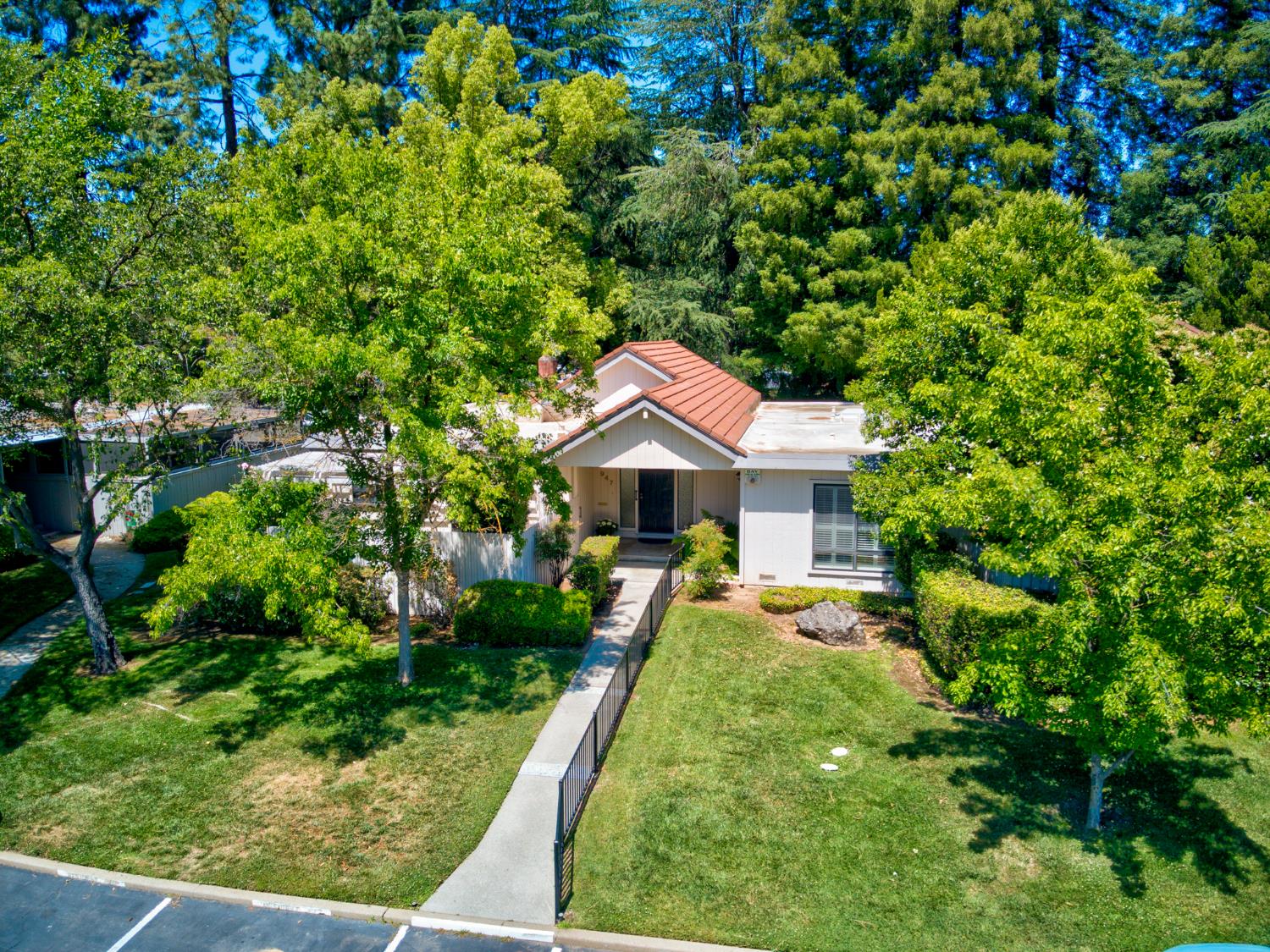 Photo #47: 225053246 Listing: Photo #47