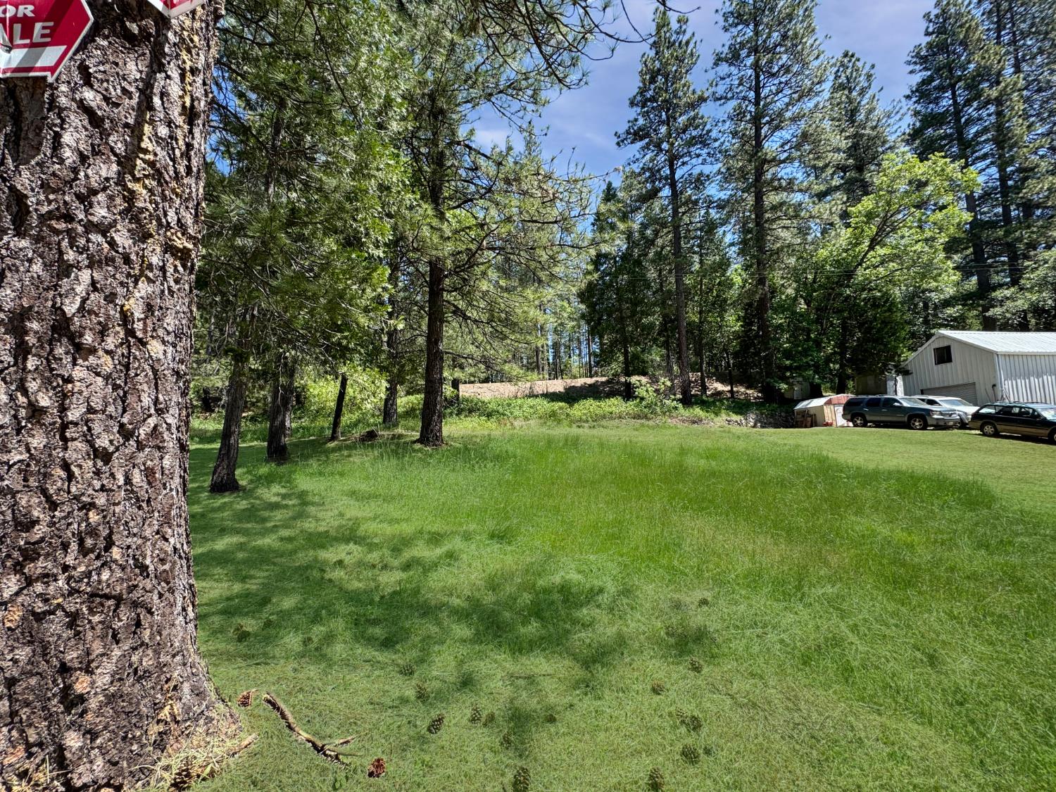 Detail Gallery Image 5 of 8 For 16988 Old Downieville Hwy, Nevada City,  CA 95959 - – Beds | – Baths