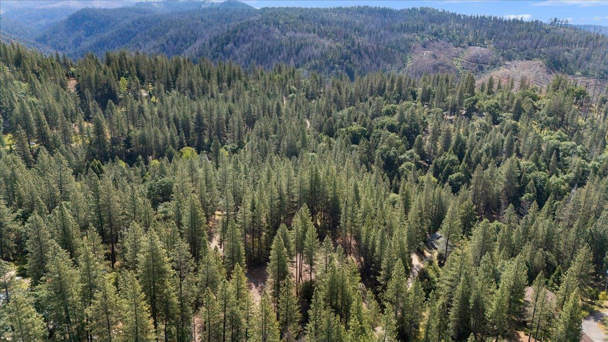 Acres Homestead Drive, Pollock Pines, California image 9