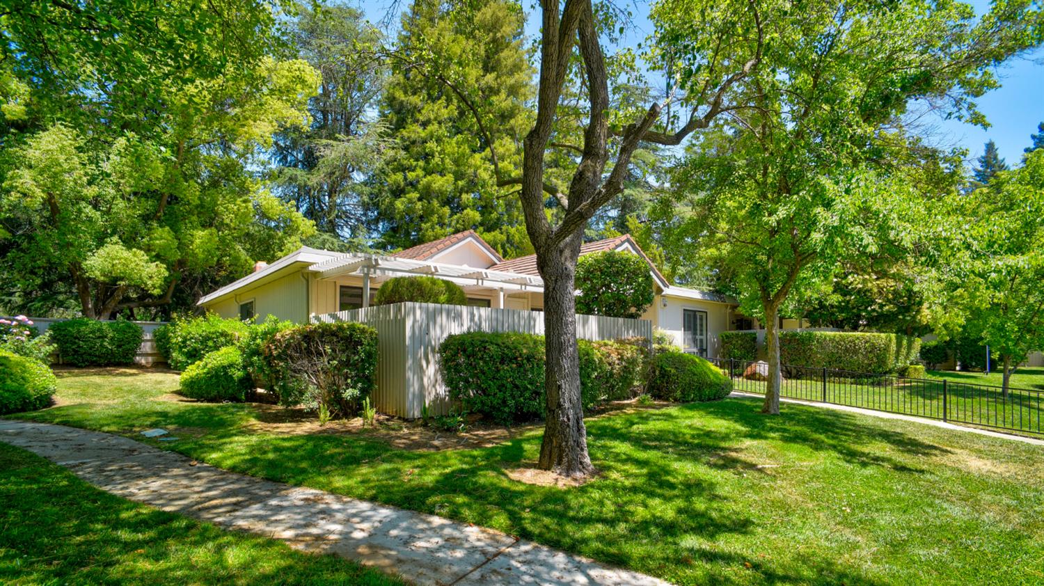 Photo #38: 225053246 Listing: Photo #38