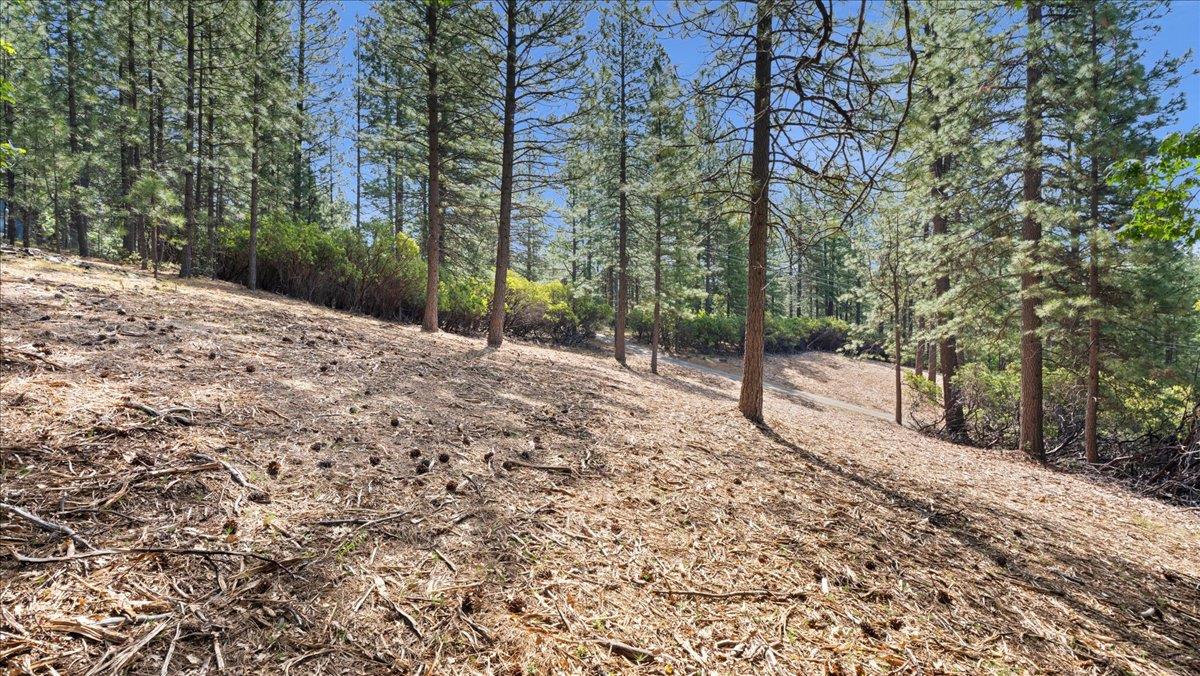 Acres Homestead Drive, Pollock Pines, California image 16