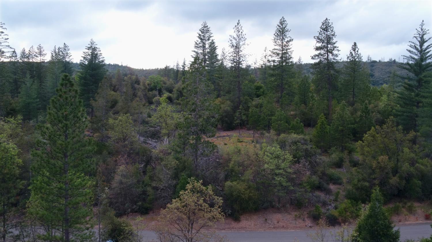 Detail Gallery Image 25 of 34 For 6363 Dogtown Rd, Coulterville,  CA 95311 - – Beds | – Baths