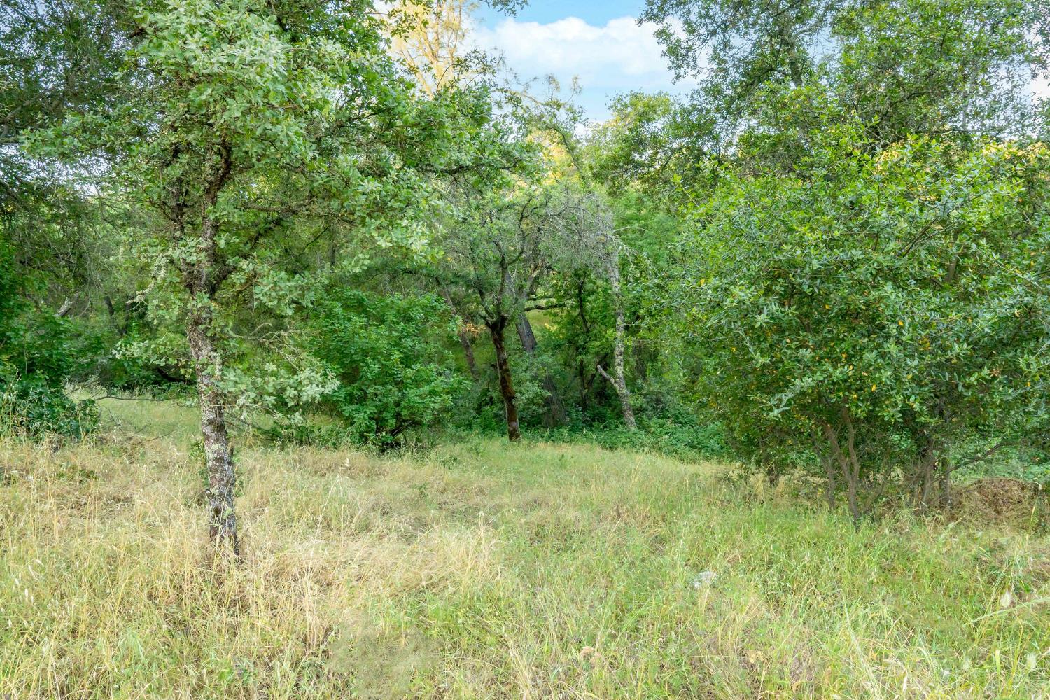 Edgehill Way, Marysville, California image 43