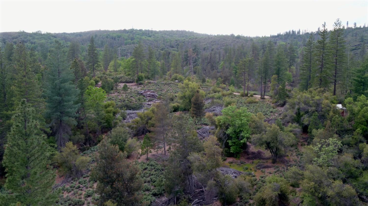 Detail Gallery Image 16 of 34 For 6363 Dogtown Rd, Coulterville,  CA 95311 - – Beds | – Baths