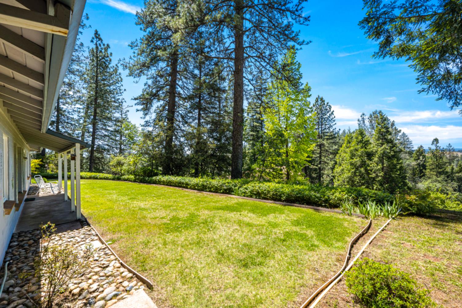 Detail Gallery Image 51 of 65 For 880 Quail Haven Rd, Colfax,  CA 95713 - 3 Beds | 2 Baths