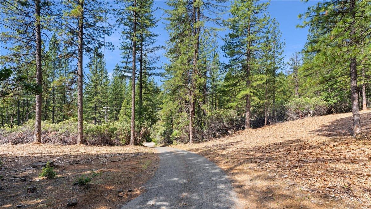 Acres Homestead Drive, Pollock Pines, California image 2