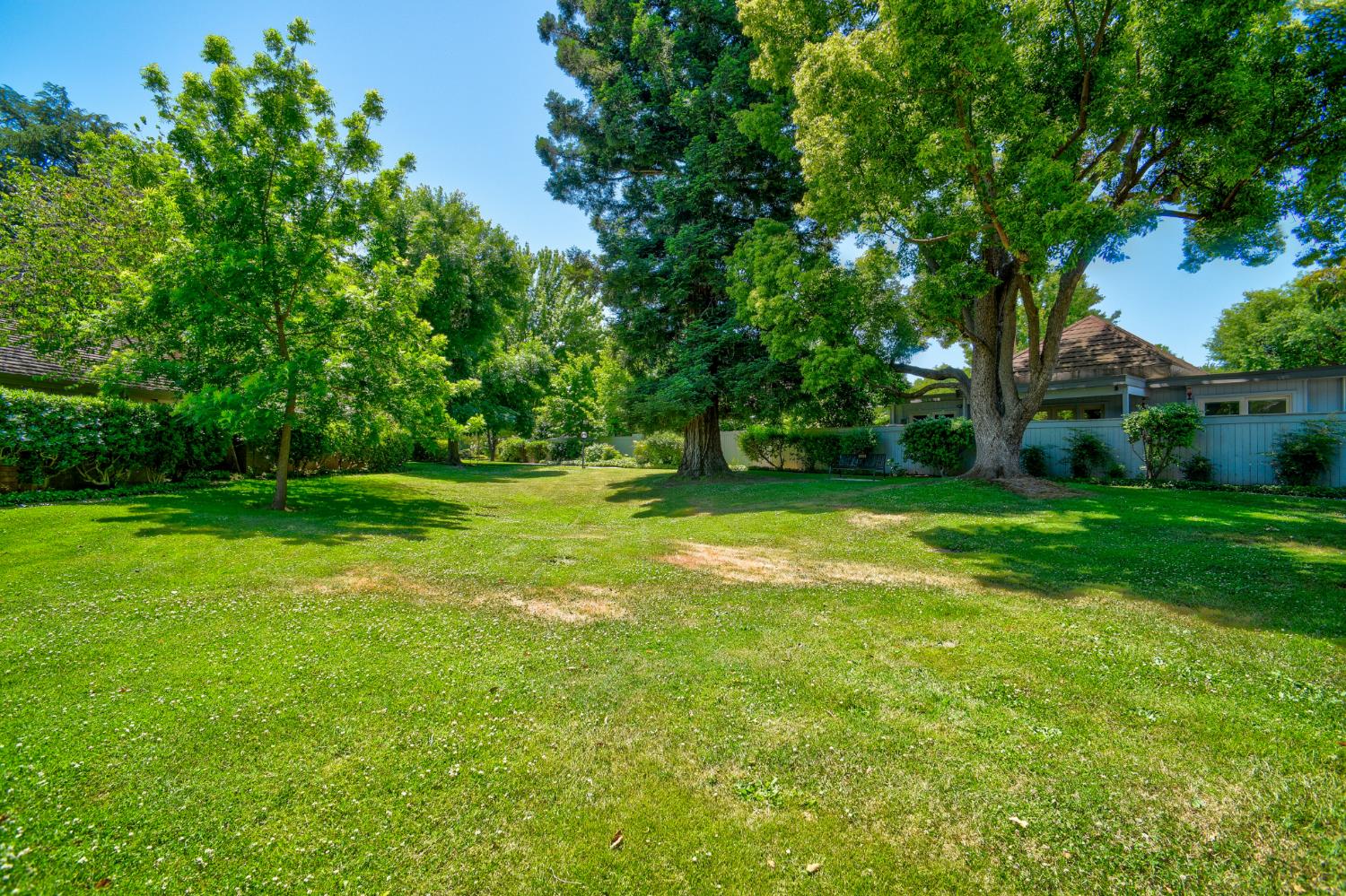 Photo #40: 225053246 Listing: Photo #40
