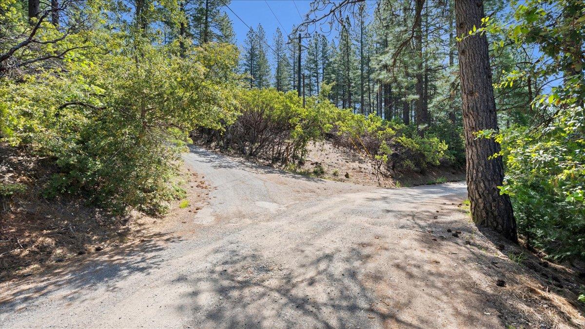 Acres Homestead Drive, Pollock Pines, California image 18