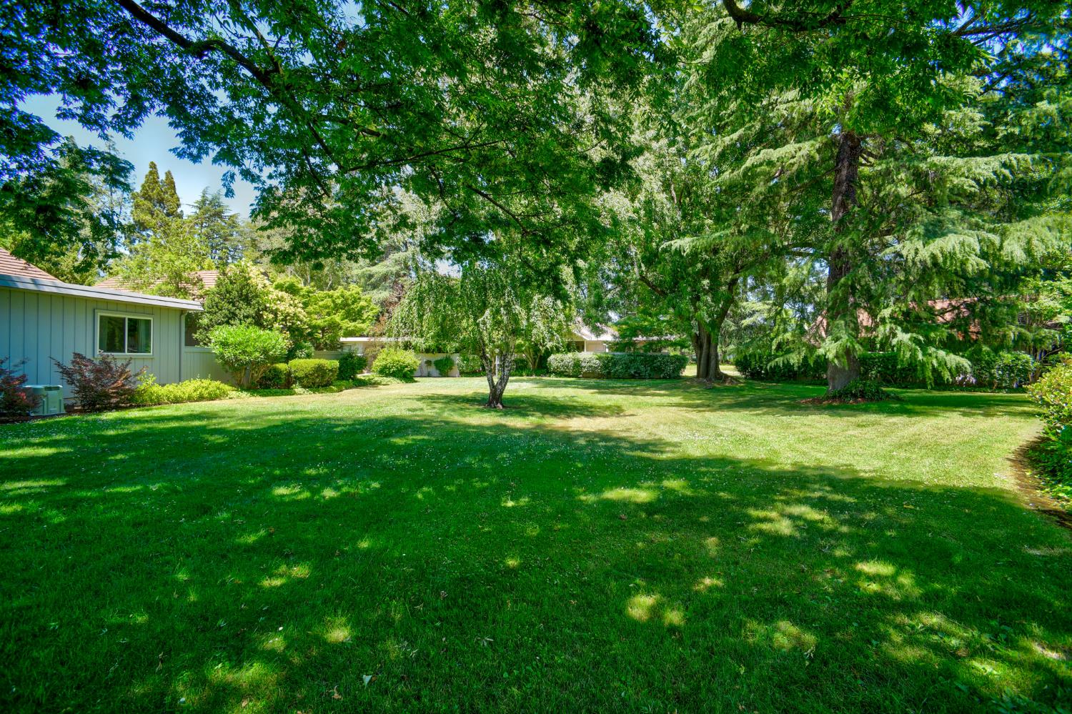 Photo #39: 225053246 Listing: Photo #39