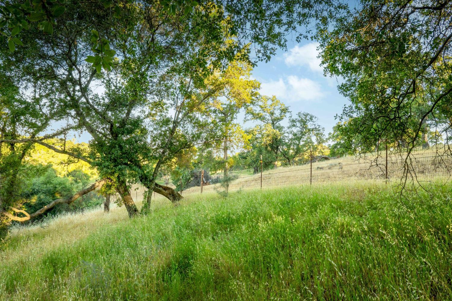 Edgehill Way, Marysville, California image 44