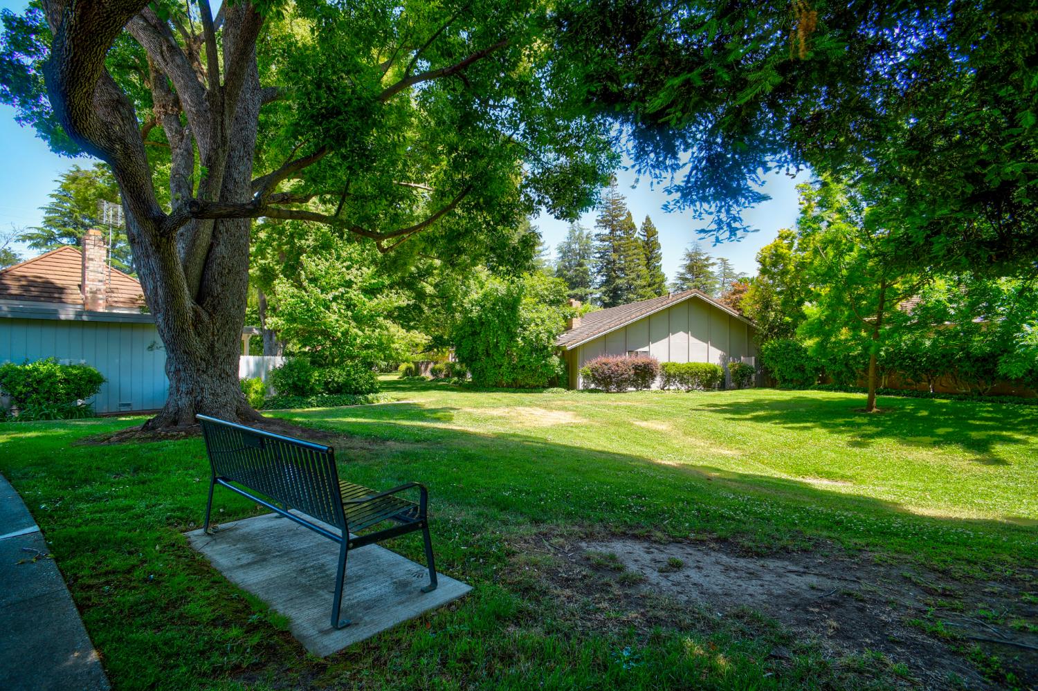 Photo #41: 225053246 Listing: Photo #41