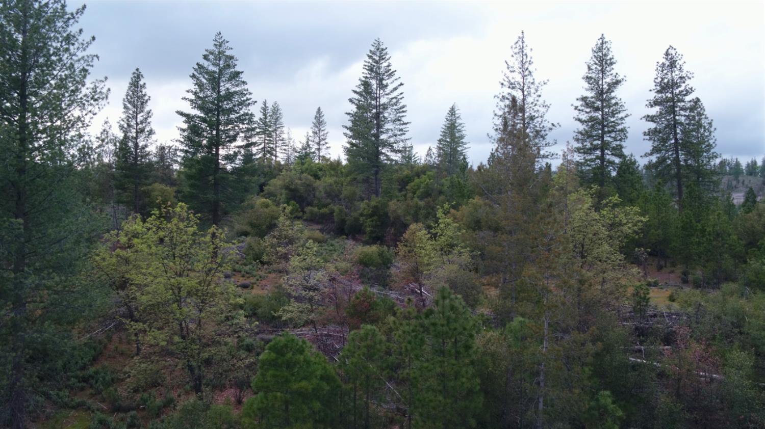 Detail Gallery Image 24 of 34 For 6363 Dogtown Rd, Coulterville,  CA 95311 - – Beds | – Baths