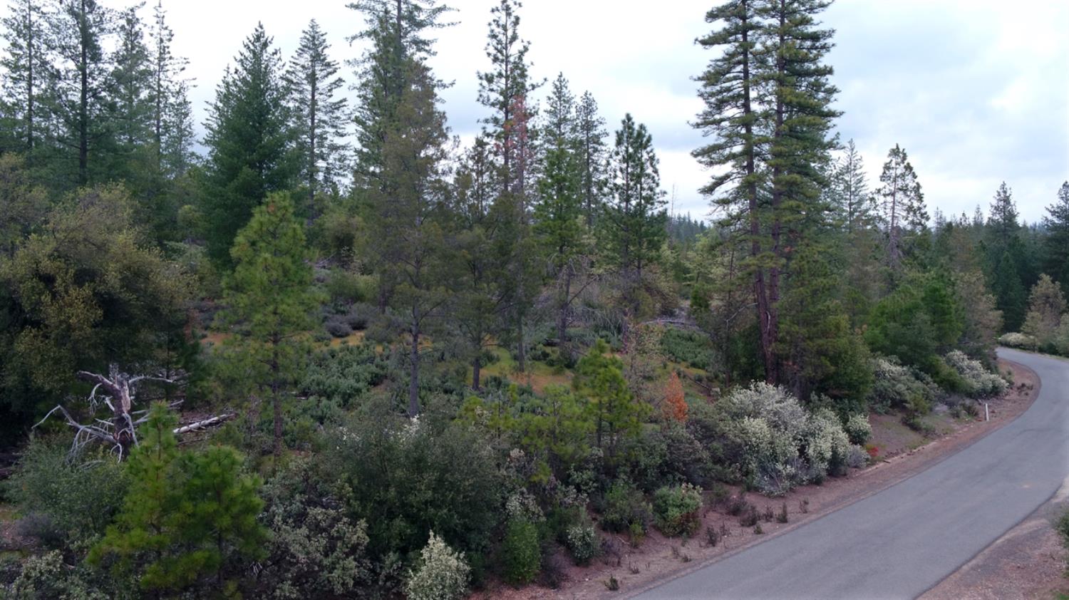 Detail Gallery Image 30 of 34 For 6363 Dogtown Rd, Coulterville,  CA 95311 - – Beds | – Baths