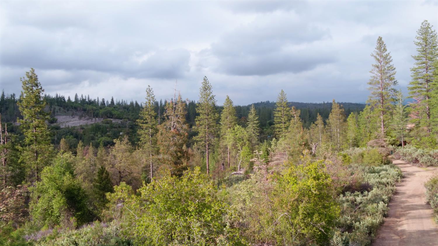Detail Gallery Image 3 of 34 For 6363 Dogtown Rd, Coulterville,  CA 95311 - – Beds | – Baths