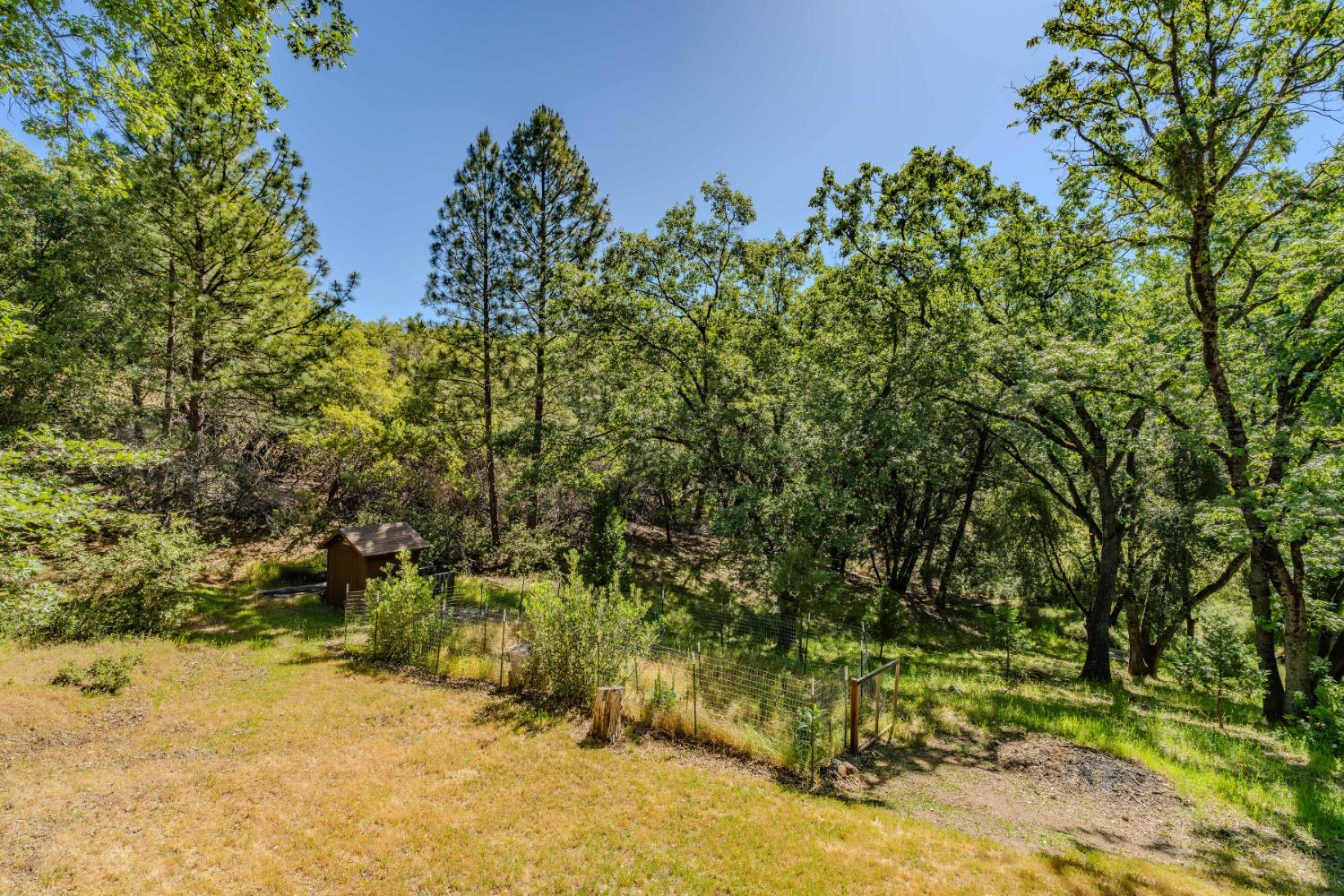 Detail Gallery Image 14 of 73 For 17640 Tannery Ln, Pine Grove,  CA 95665 - 3 Beds | 2 Baths