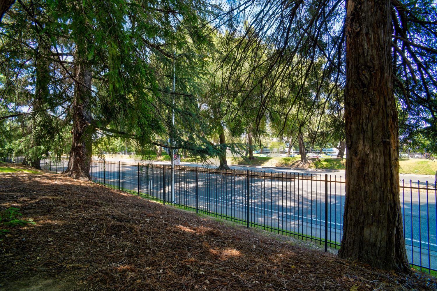 Photo #43: 225053246 Listing: Photo #43