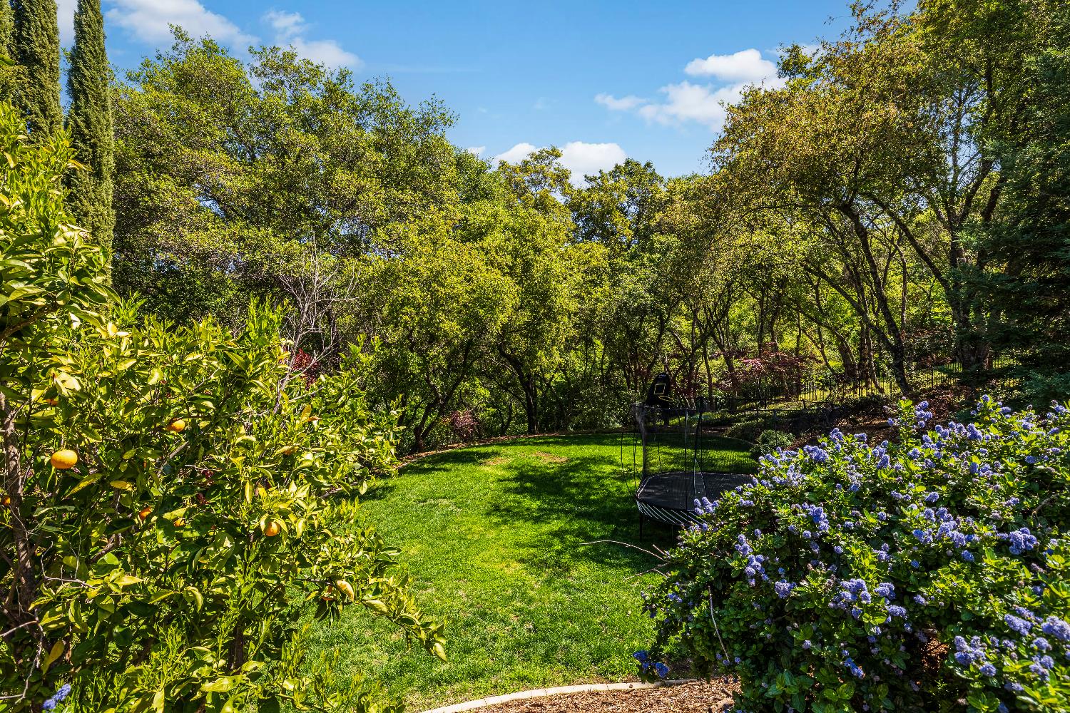 Detail Gallery Image 67 of 84 For 2864 Aberdeen Ln, El Dorado Hills,  CA 95762 - 5 Beds | 3 Baths