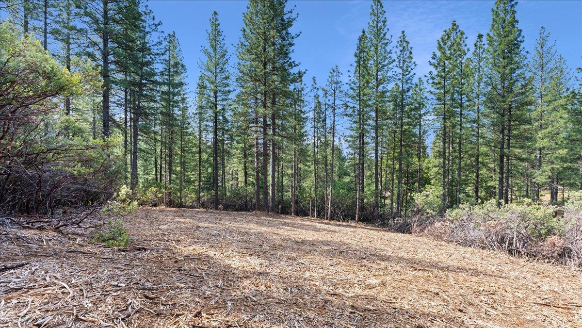 Acres Homestead Drive, Pollock Pines, California image 4