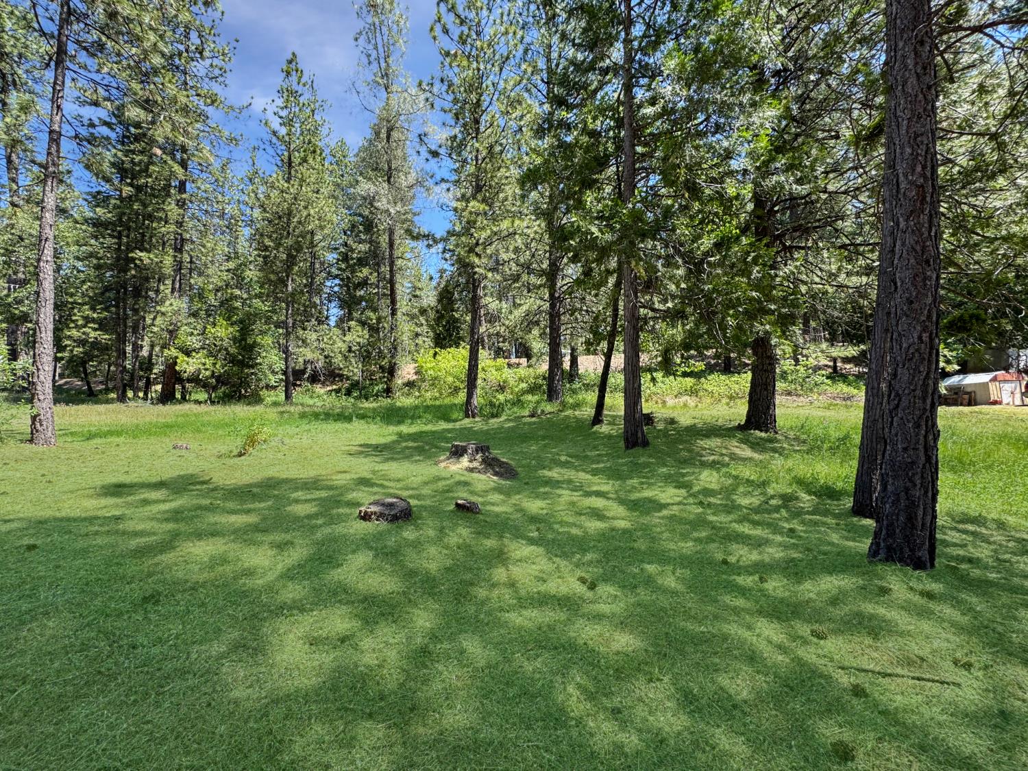 Detail Gallery Image 7 of 8 For 16996 Old Downieville Hwy, Nevada City,  CA 95959 - – Beds | – Baths