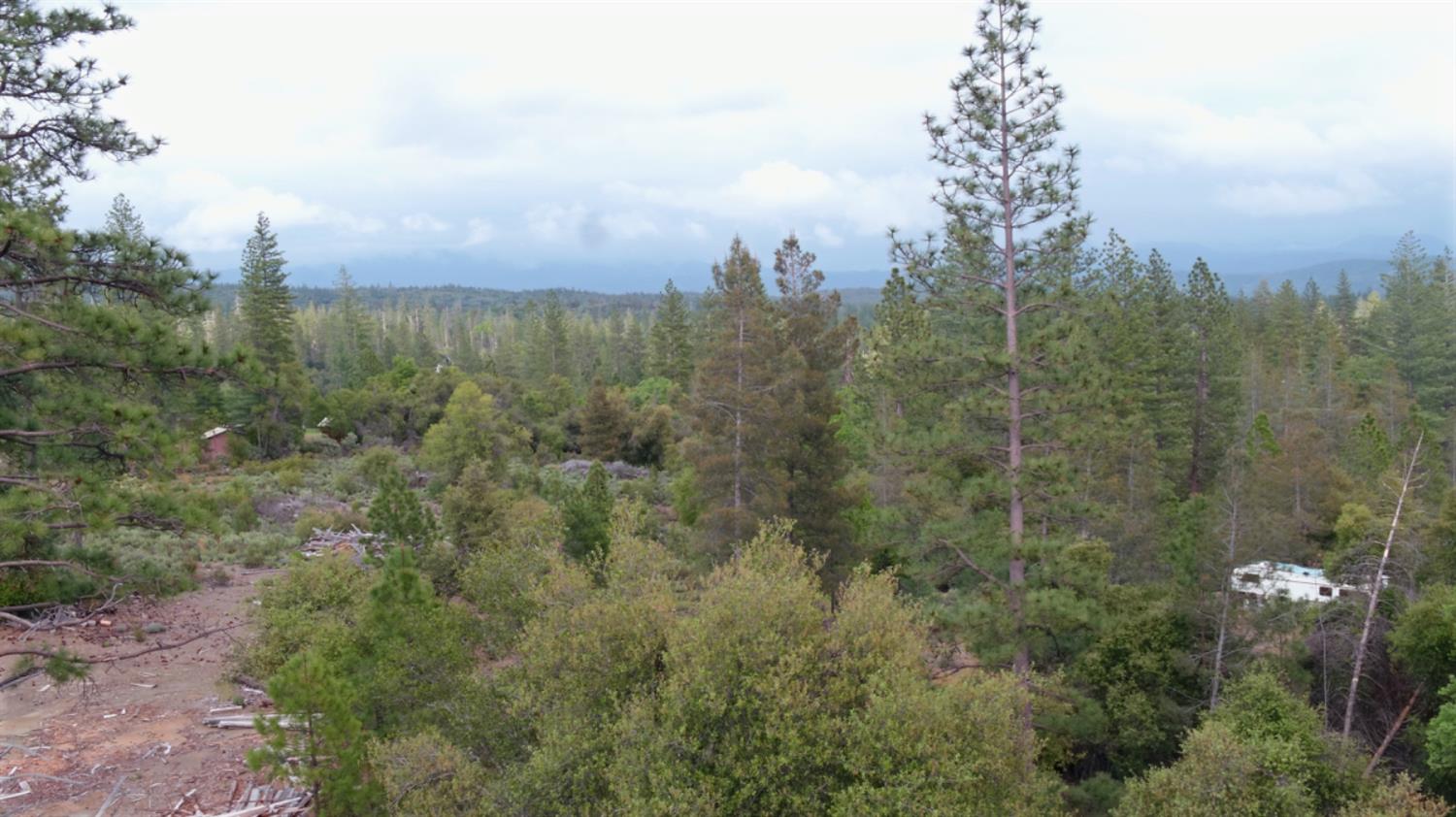 Detail Gallery Image 8 of 34 For 6363 Dogtown Rd, Coulterville,  CA 95311 - – Beds | – Baths