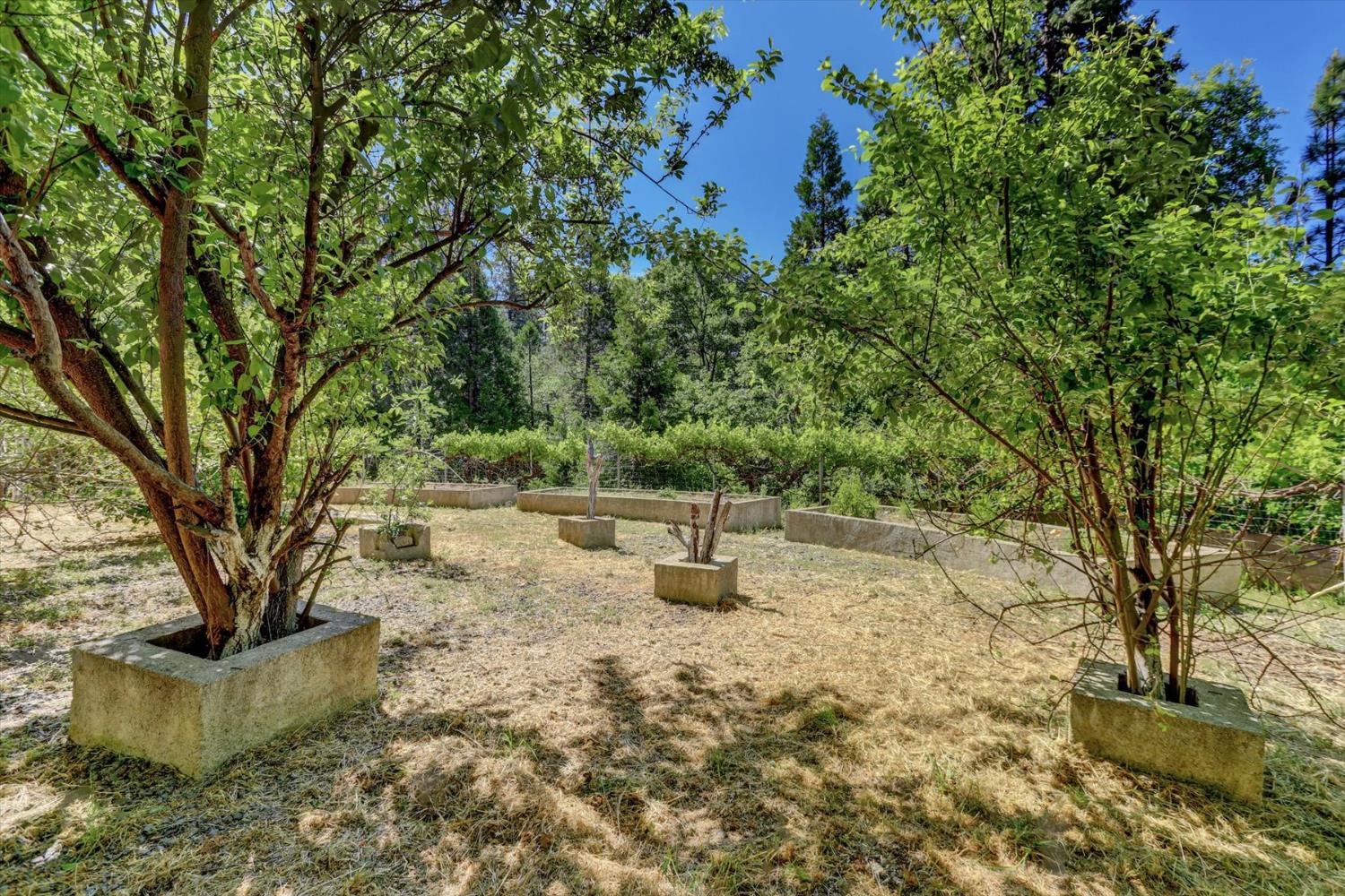Kensington Kourt, Grass Valley, California image 48
