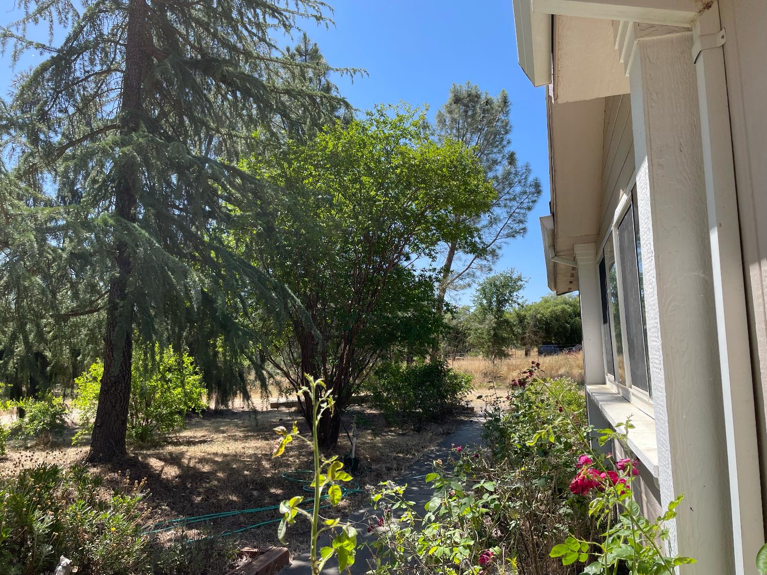 Detail Gallery Image 6 of 50 For 2130 Ramirez Ln, Dunnigan,  CA 95937 - 3 Beds | 2 Baths
