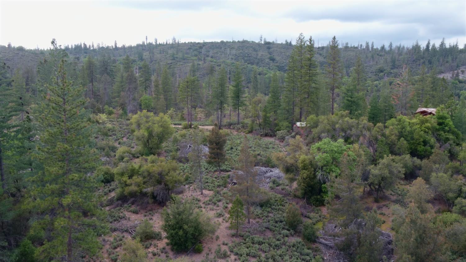 Detail Gallery Image 17 of 34 For 6363 Dogtown Rd, Coulterville,  CA 95311 - – Beds | – Baths