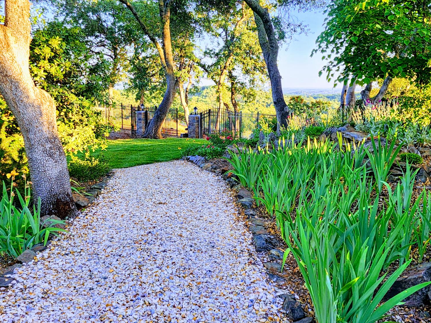 Detail Gallery Image 12 of 83 For 5001 Mourning Dove Ln, Shingle Springs,  CA 95682 - 4 Beds | 3/1 Baths