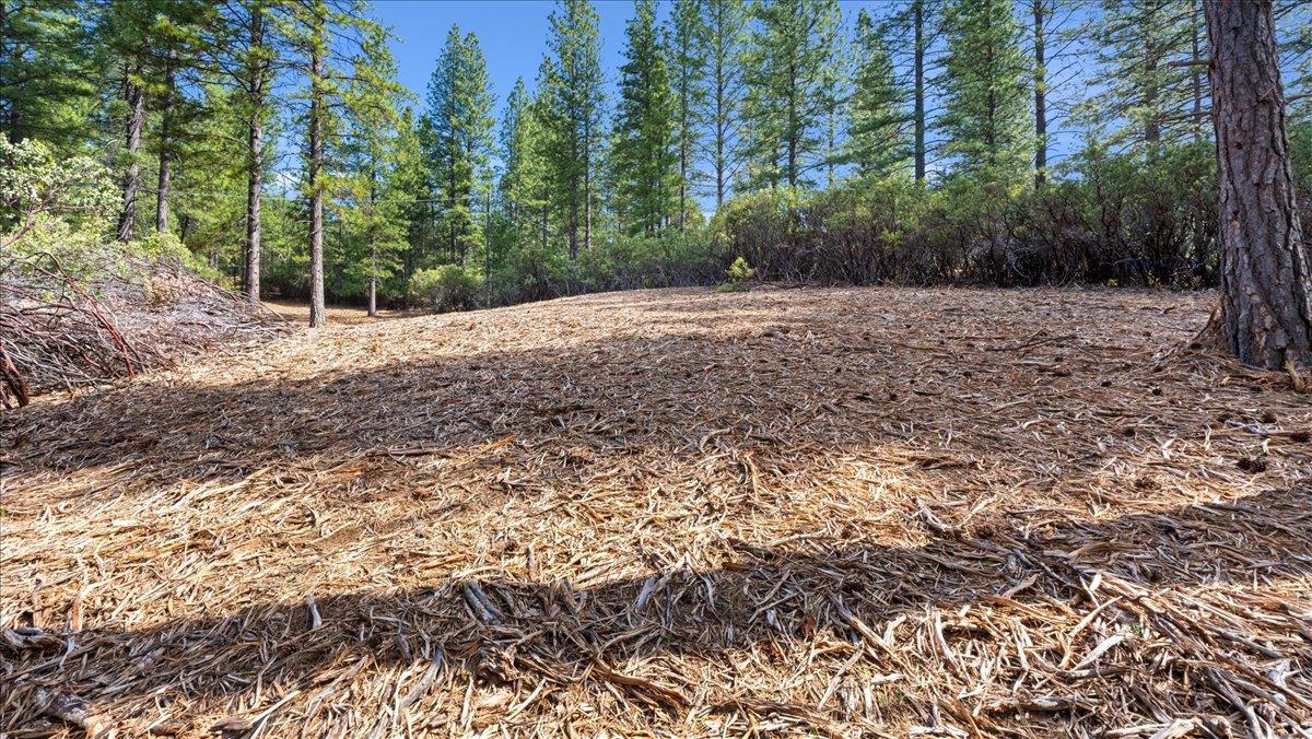 Acres Homestead Drive, Pollock Pines, California image 12