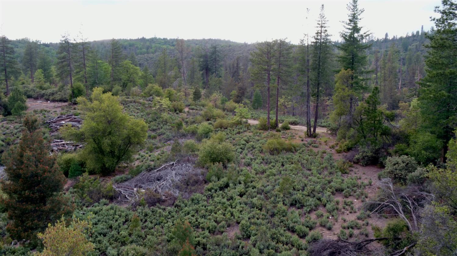 Detail Gallery Image 15 of 34 For 6363 Dogtown Rd, Coulterville,  CA 95311 - – Beds | – Baths