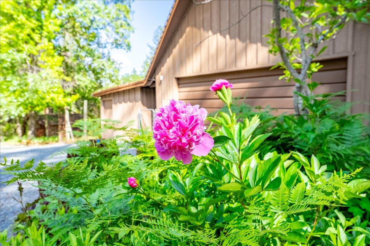 Detail Gallery Image 79 of 99 For 7250 Mount Oak Ln, Georgetown,  CA 95634 - 2 Beds | 2 Baths