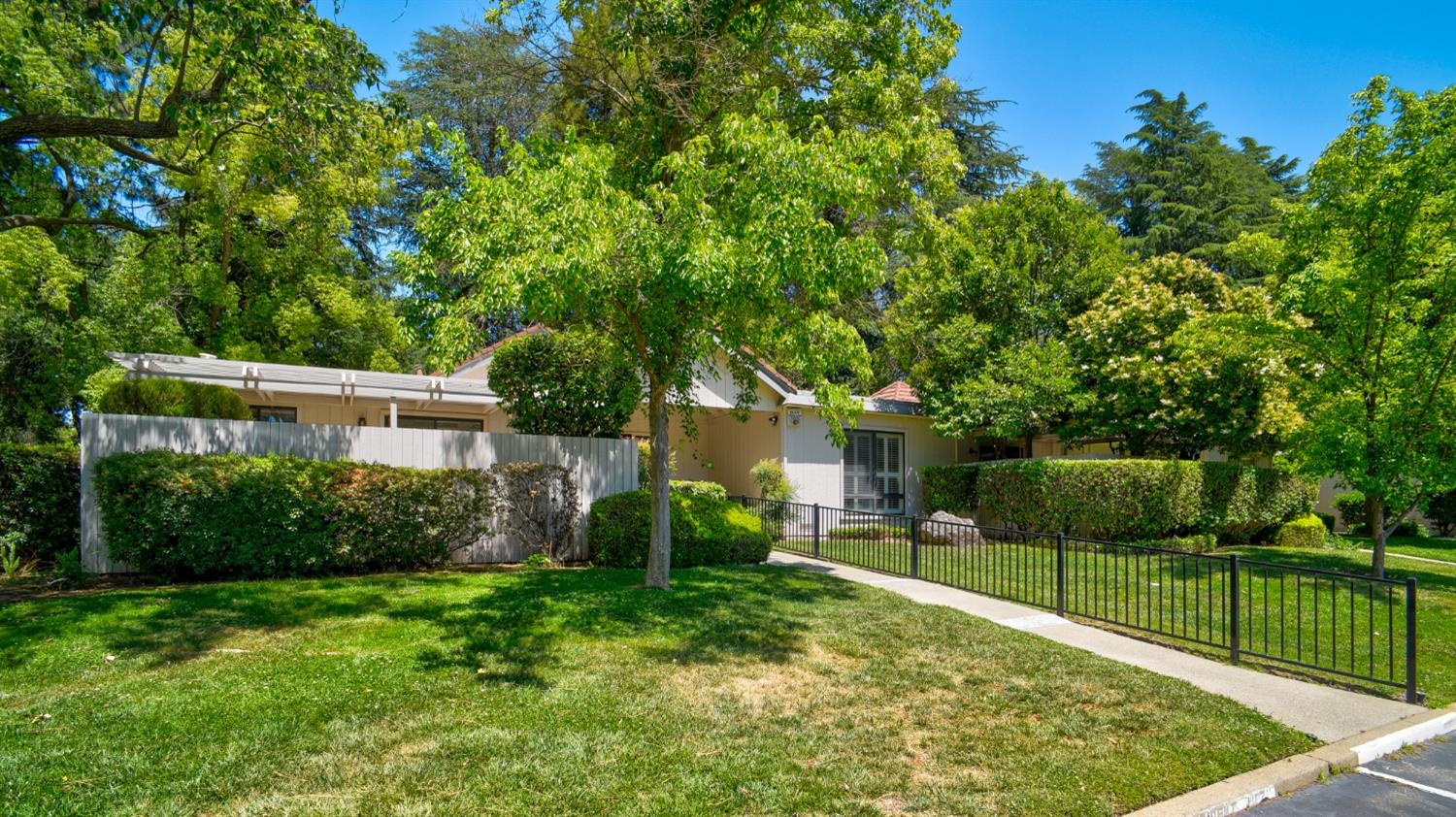Photo #36: 225053246 Listing: Photo #36
