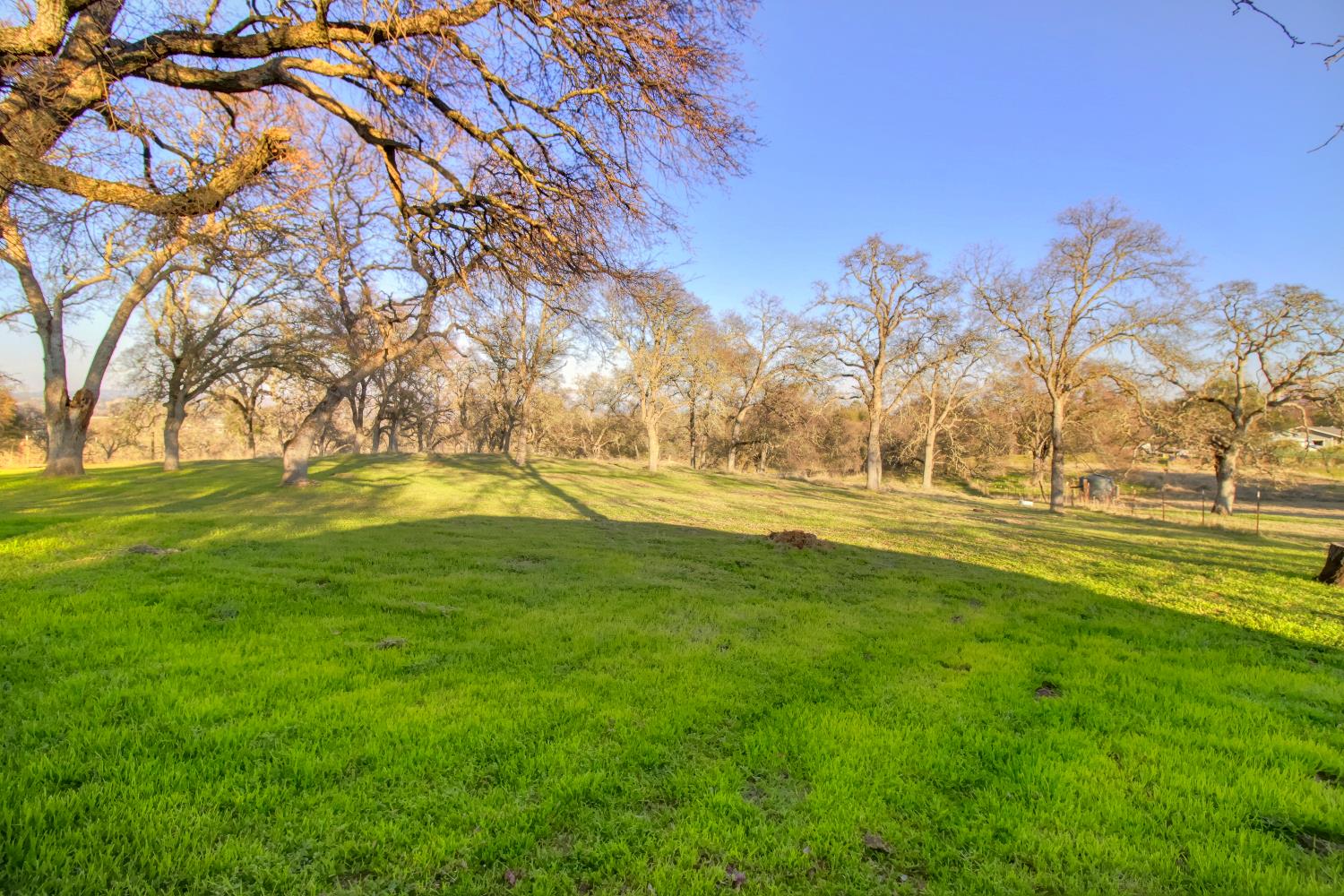 Detail Gallery Image 43 of 65 For 15828 Barney Rd, Plymouth,  CA 95669 - 3 Beds | 3 Baths