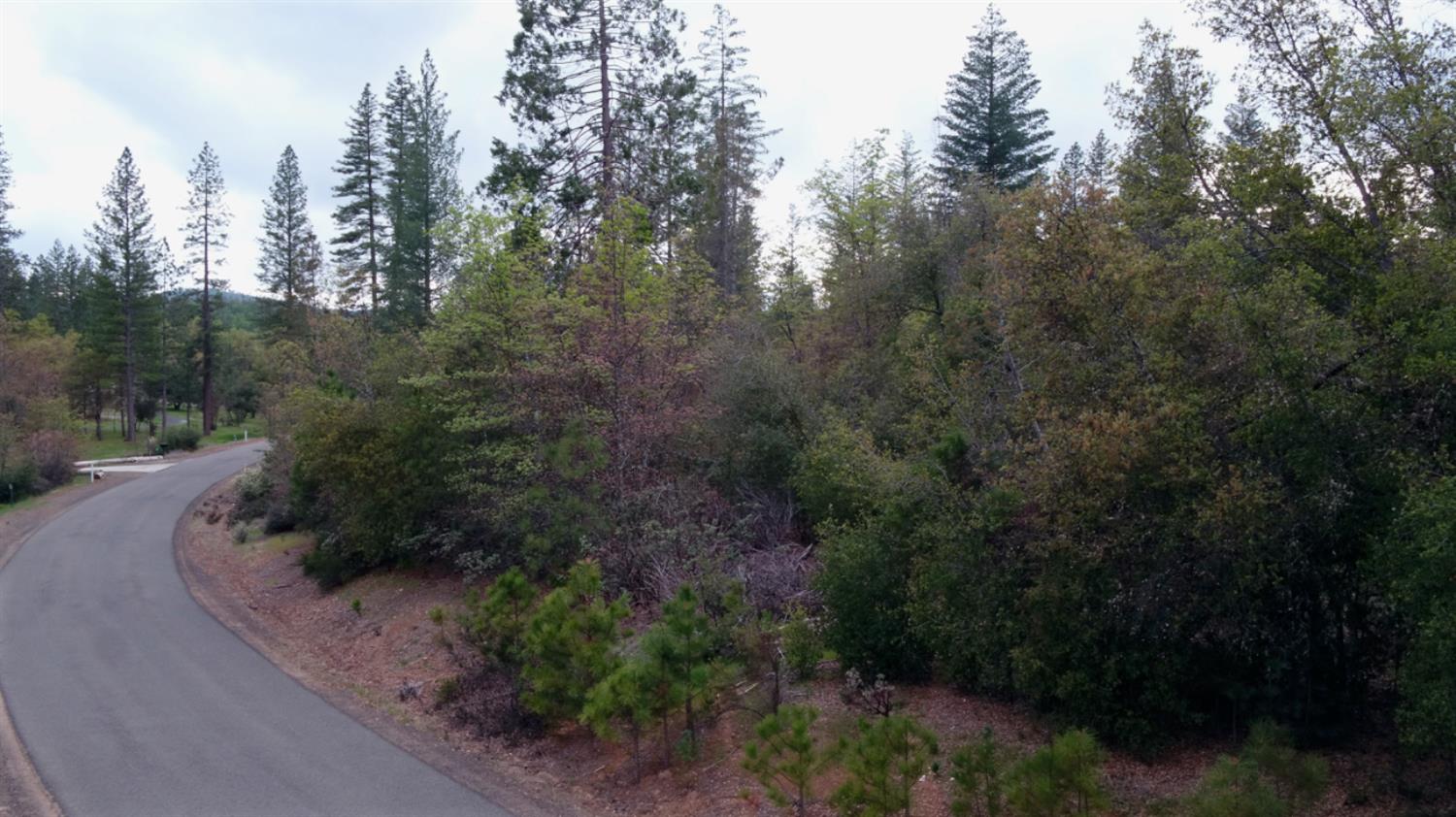 Detail Gallery Image 22 of 34 For 6363 Dogtown Rd, Coulterville,  CA 95311 - – Beds | – Baths