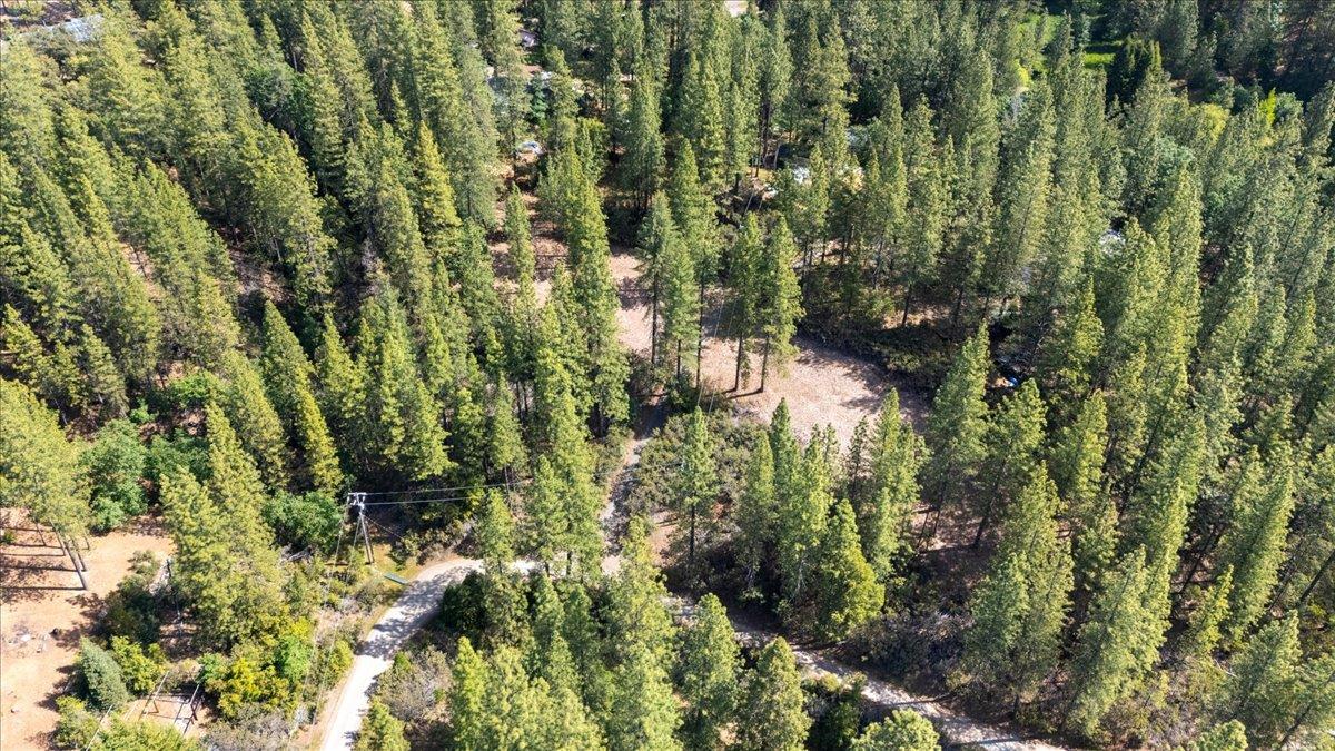 Acres Homestead Drive, Pollock Pines, California image 6
