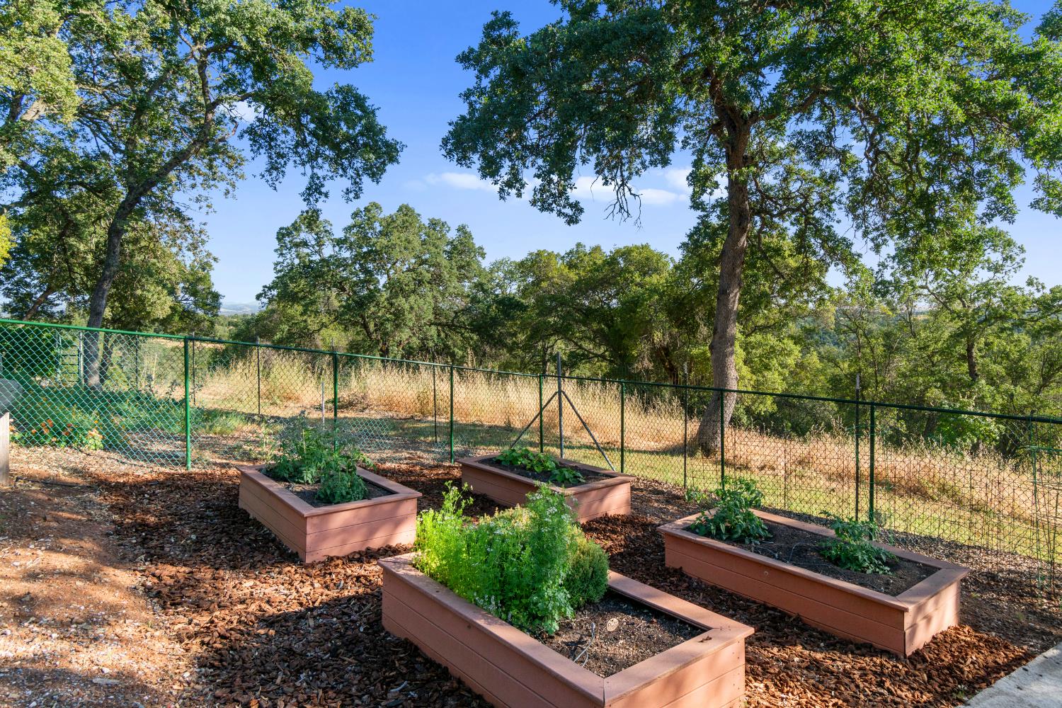 Detail Gallery Image 20 of 83 For 5001 Mourning Dove Ln, Shingle Springs,  CA 95682 - 4 Beds | 3/1 Baths