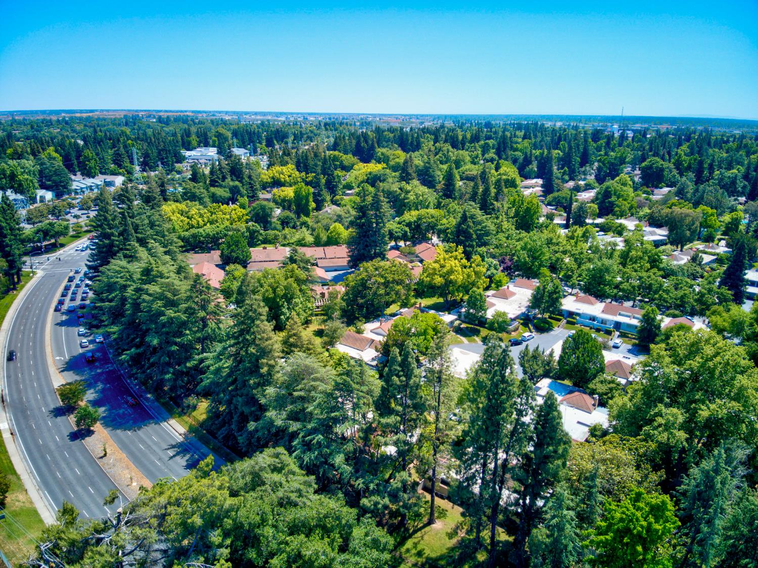Photo #49: 225053246 Listing: Photo #49