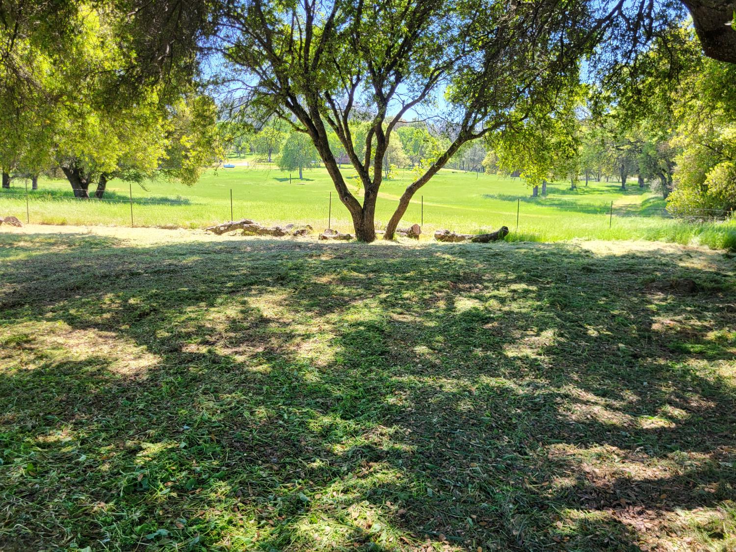 Detail Gallery Image 7 of 56 For 10093 Bailinquick Rd, Angels Camp,  CA 95222 - 3 Beds | 2/1 Baths