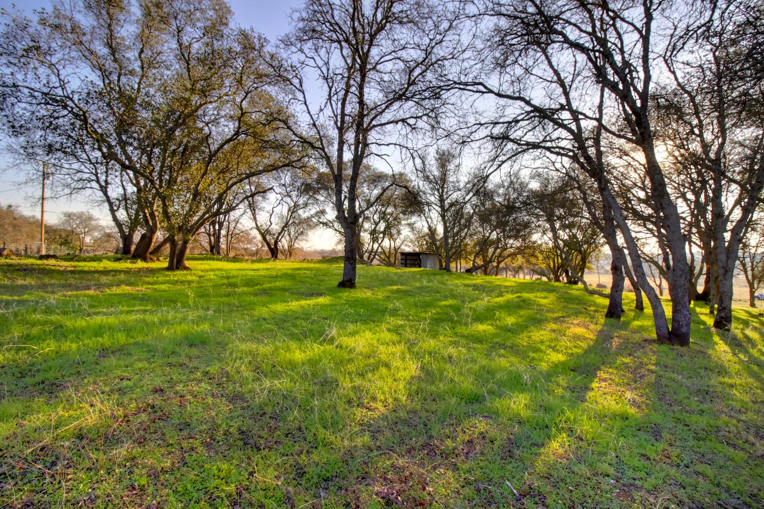 Detail Gallery Image 52 of 65 For 15828 Barney Rd, Plymouth,  CA 95669 - 3 Beds | 3 Baths