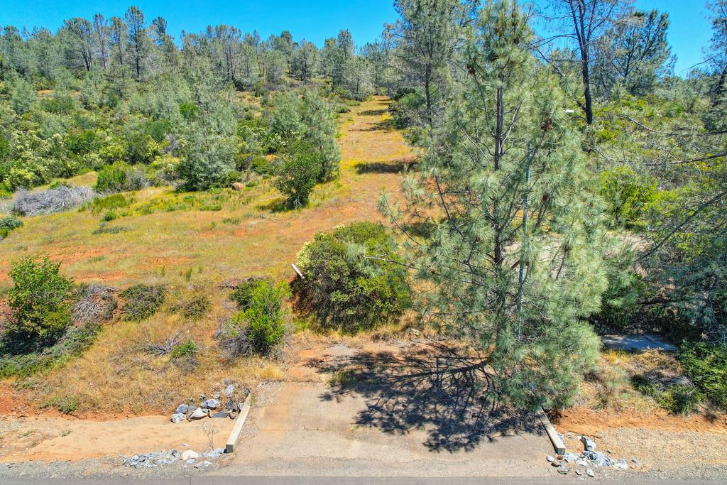 Detail Gallery Image 15 of 23 For 10 Cameron Park Dr, Cameron Park,  CA 95682 - – Beds | – Baths