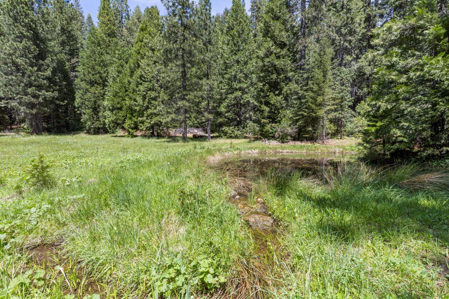 Detail Gallery Image 13 of 58 For 14138 La Porte Rd, Strawberry Valley,  CA 95981 - 2 Beds | 2/1 Baths