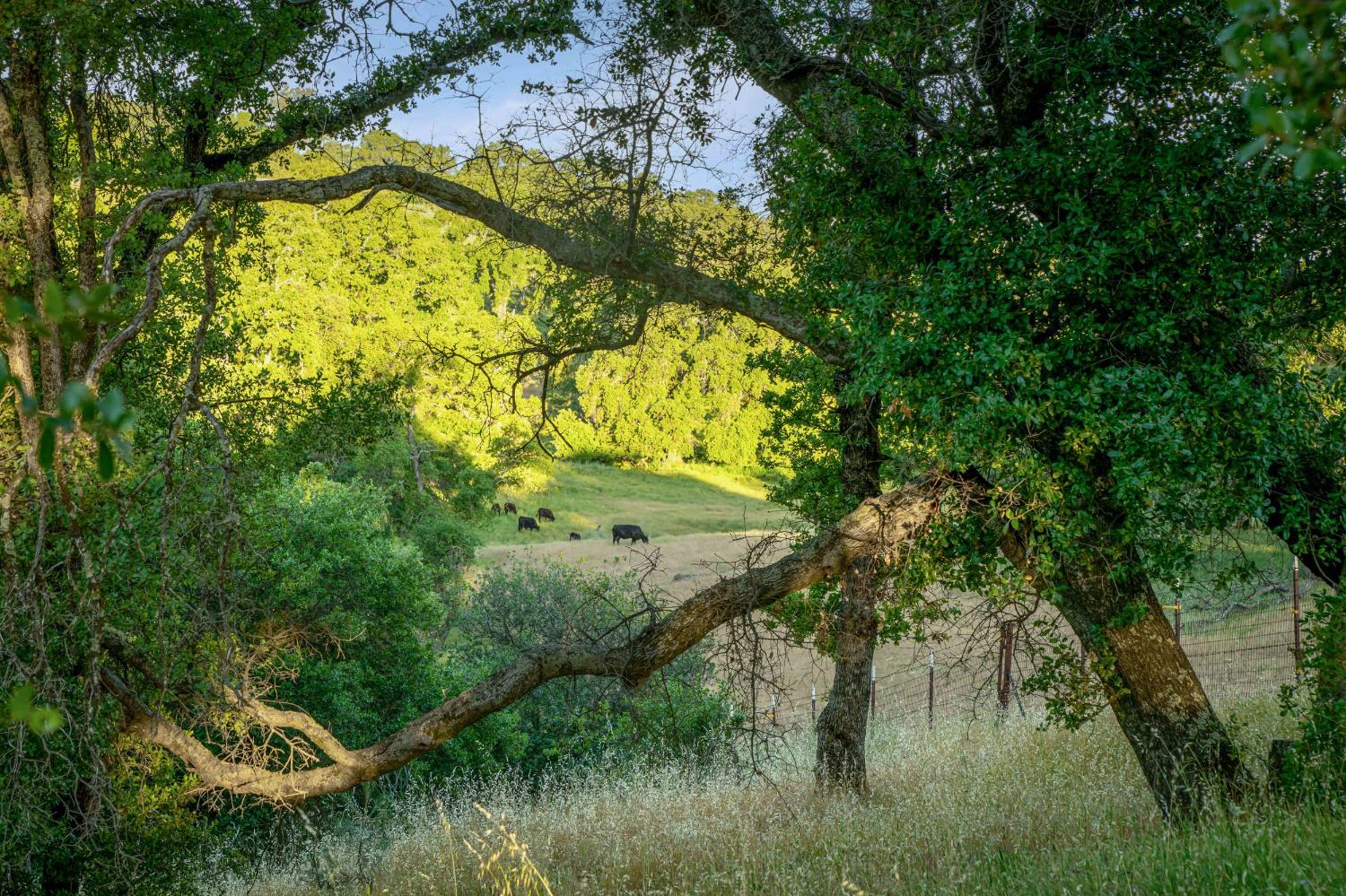 Edgehill Way, Marysville, California image 28