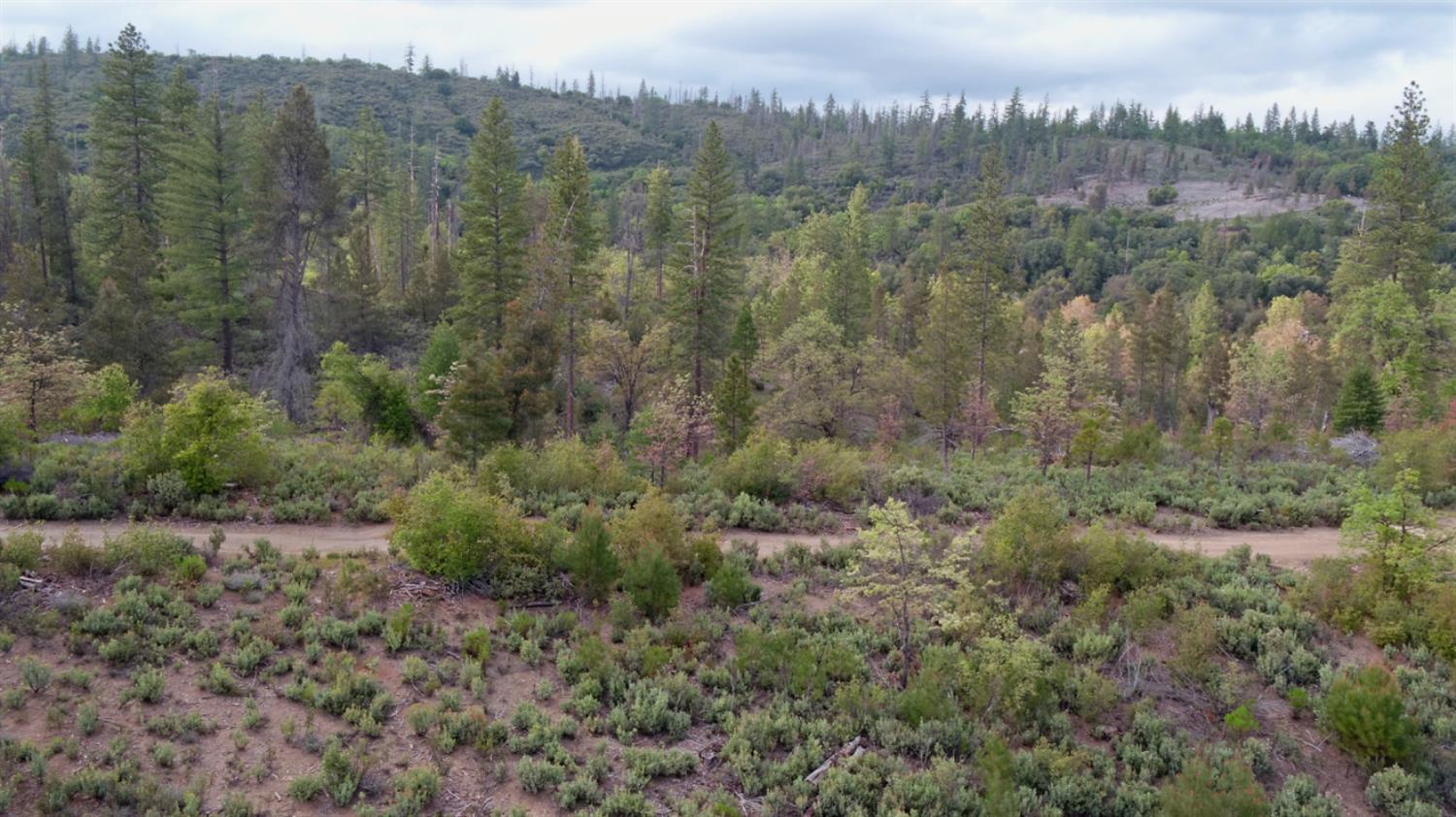 Detail Gallery Image 5 of 34 For 6363 Dogtown Rd, Coulterville,  CA 95311 - – Beds | – Baths