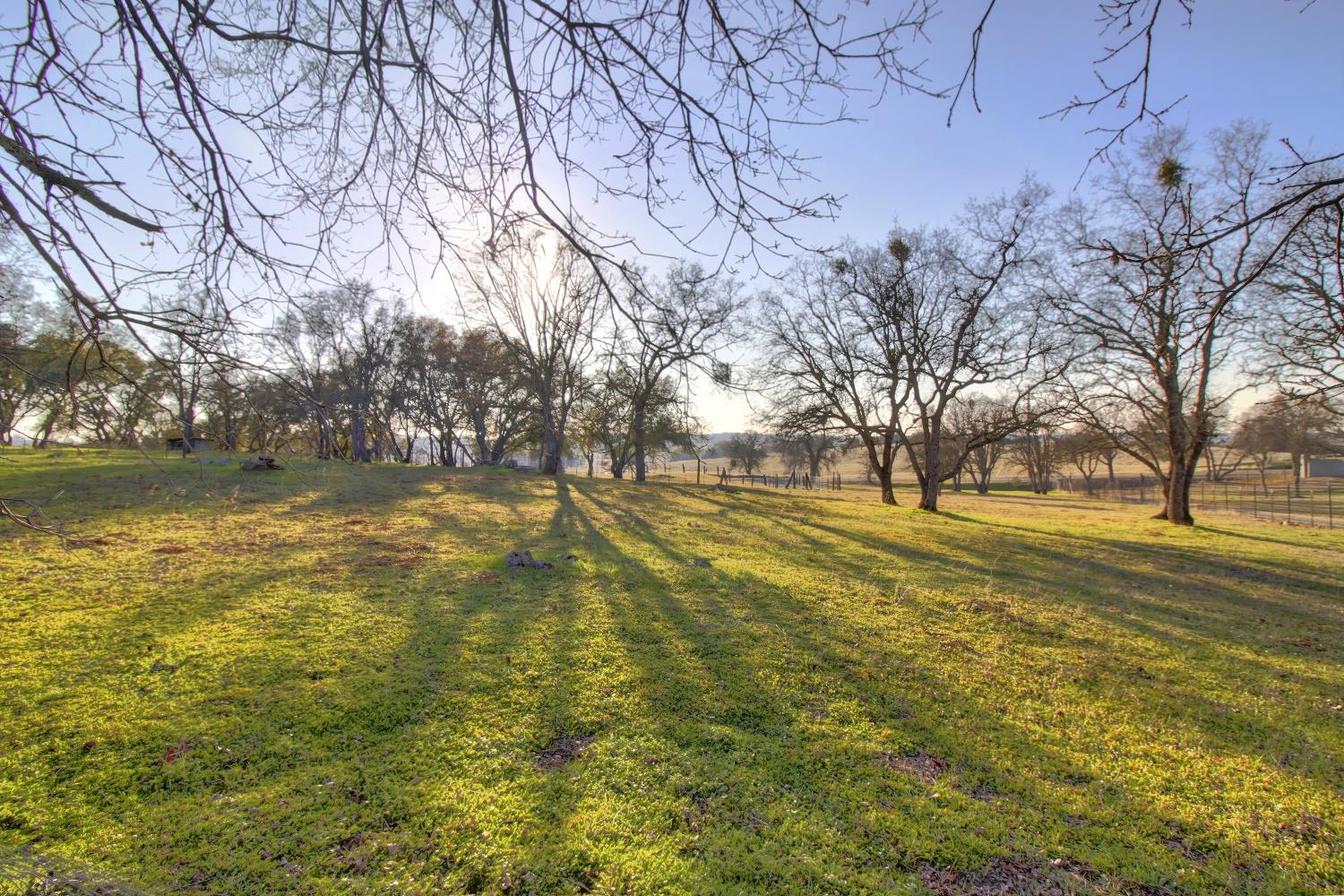 Detail Gallery Image 51 of 65 For 15828 Barney Rd, Plymouth,  CA 95669 - 3 Beds | 3 Baths