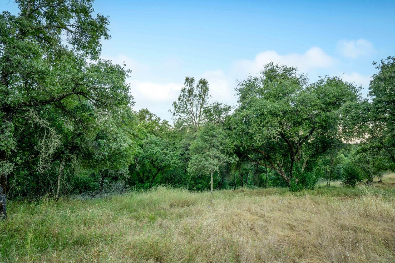 Edgehill Way, Marysville, California image 40