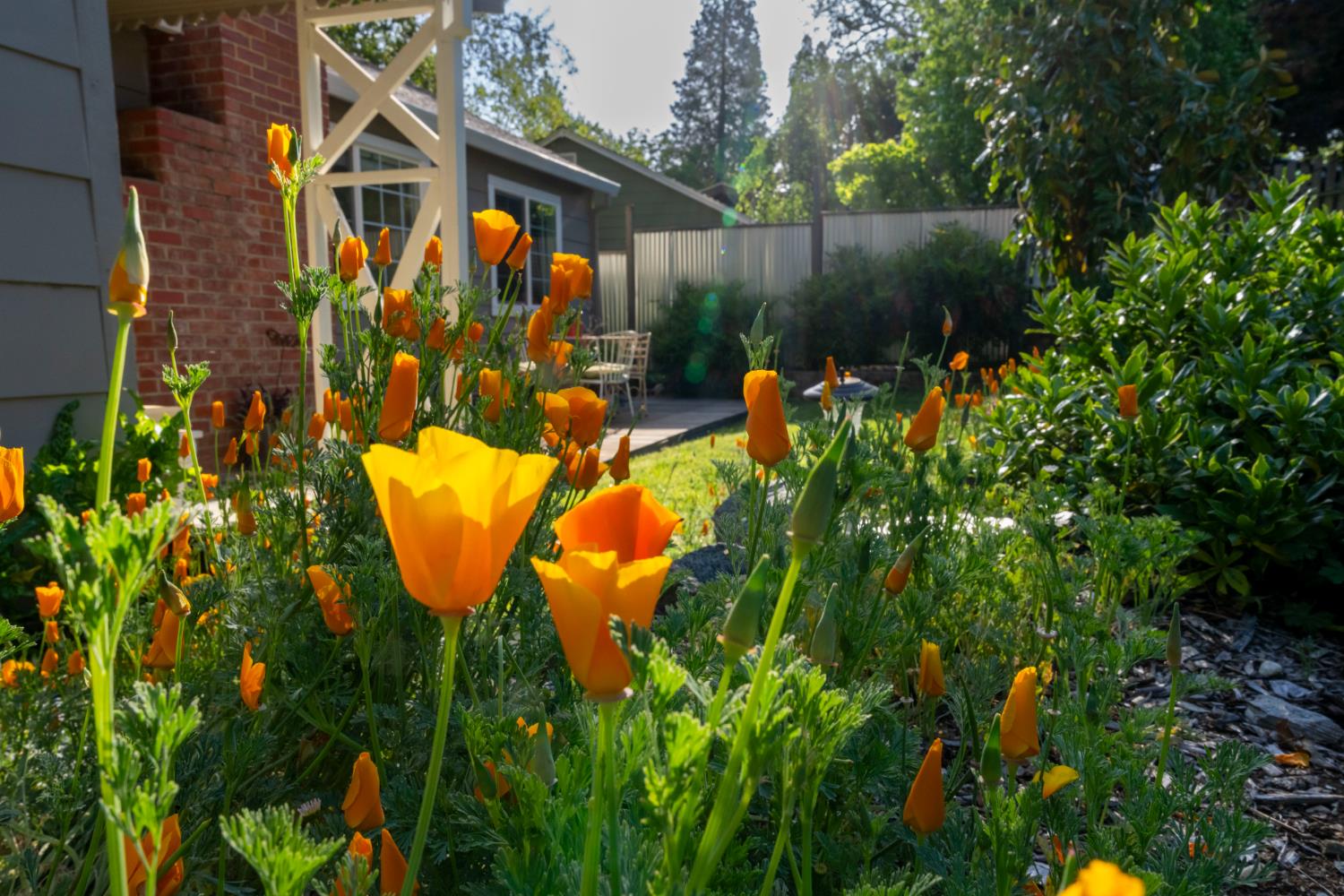 Detail Gallery Image 6 of 49 For 242 Brock Rd, Nevada City,  CA 95959 - 4 Beds | 2 Baths