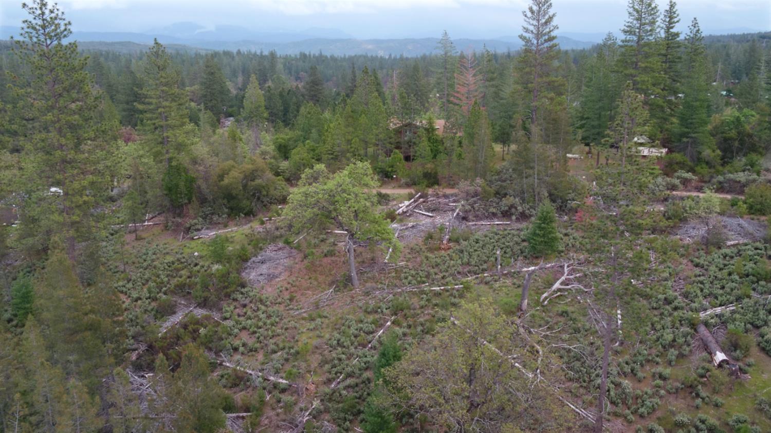 Detail Gallery Image 12 of 34 For 6363 Dogtown Rd, Coulterville,  CA 95311 - – Beds | – Baths