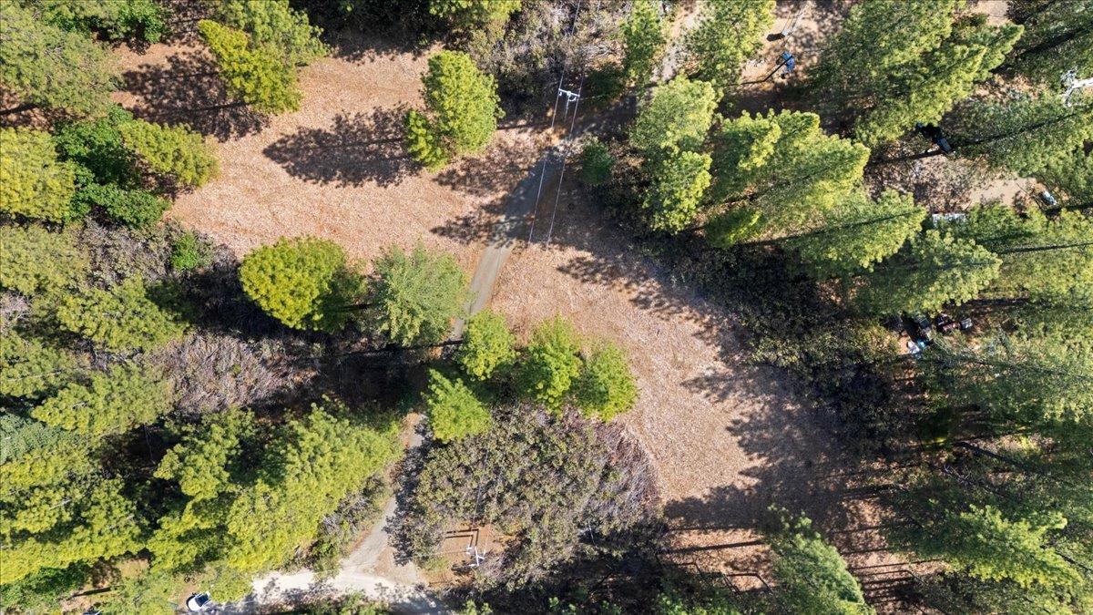 Acres Homestead Drive, Pollock Pines, California image 1
