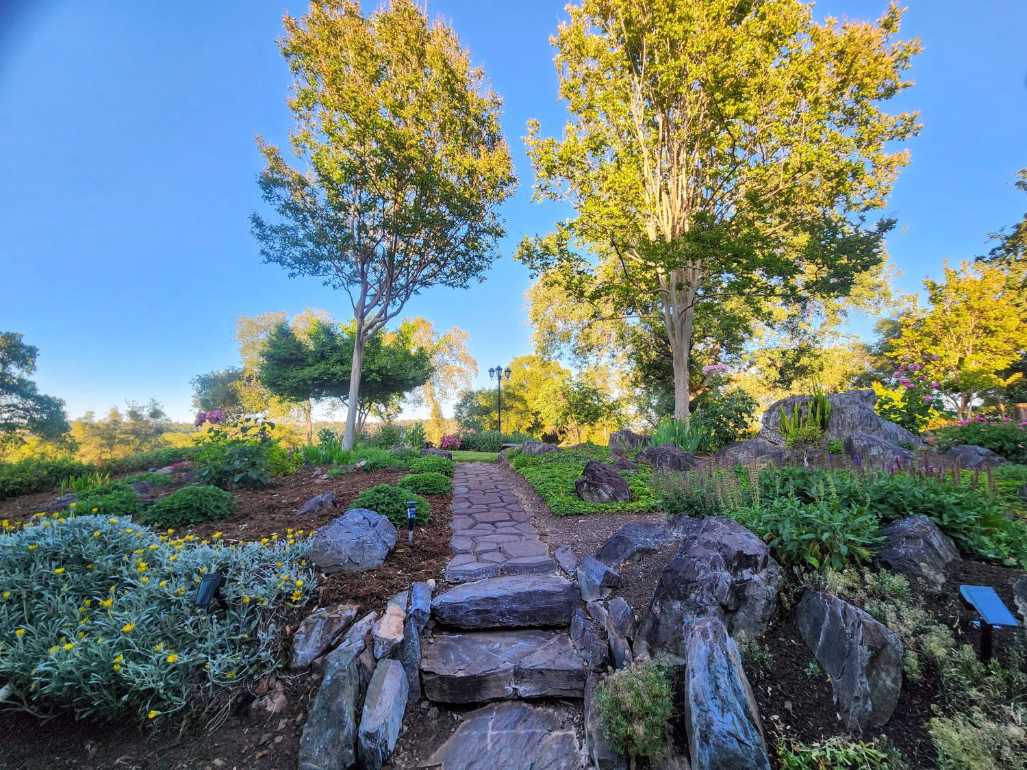 Detail Gallery Image 16 of 83 For 5001 Mourning Dove Ln, Shingle Springs,  CA 95682 - 4 Beds | 3/1 Baths