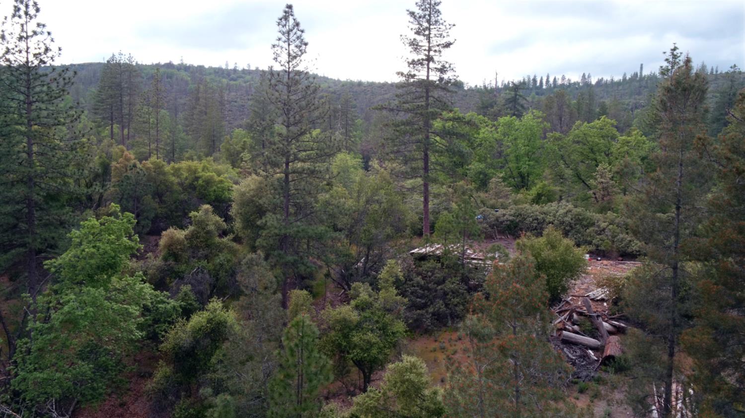 Detail Gallery Image 7 of 34 For 6363 Dogtown Rd, Coulterville,  CA 95311 - – Beds | – Baths